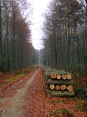 Jesienią góry są najszczersze.. - kliknij by zobaczyć powiększenie Jesienią góry są najszczersze.. - kliknij by zobaczyć powiększenie