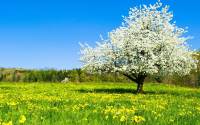Wiosna na ce – Rajd „Odra”